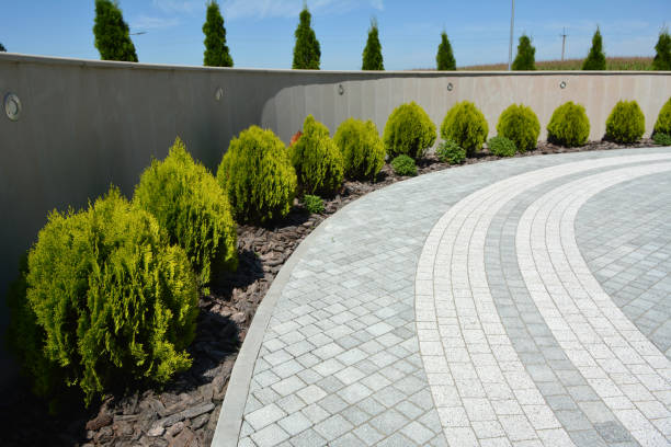 Riva, MD Driveway Pavers Company
