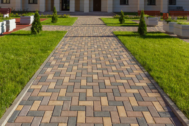 Best Professional Driveway Pavers  in Riva, MD